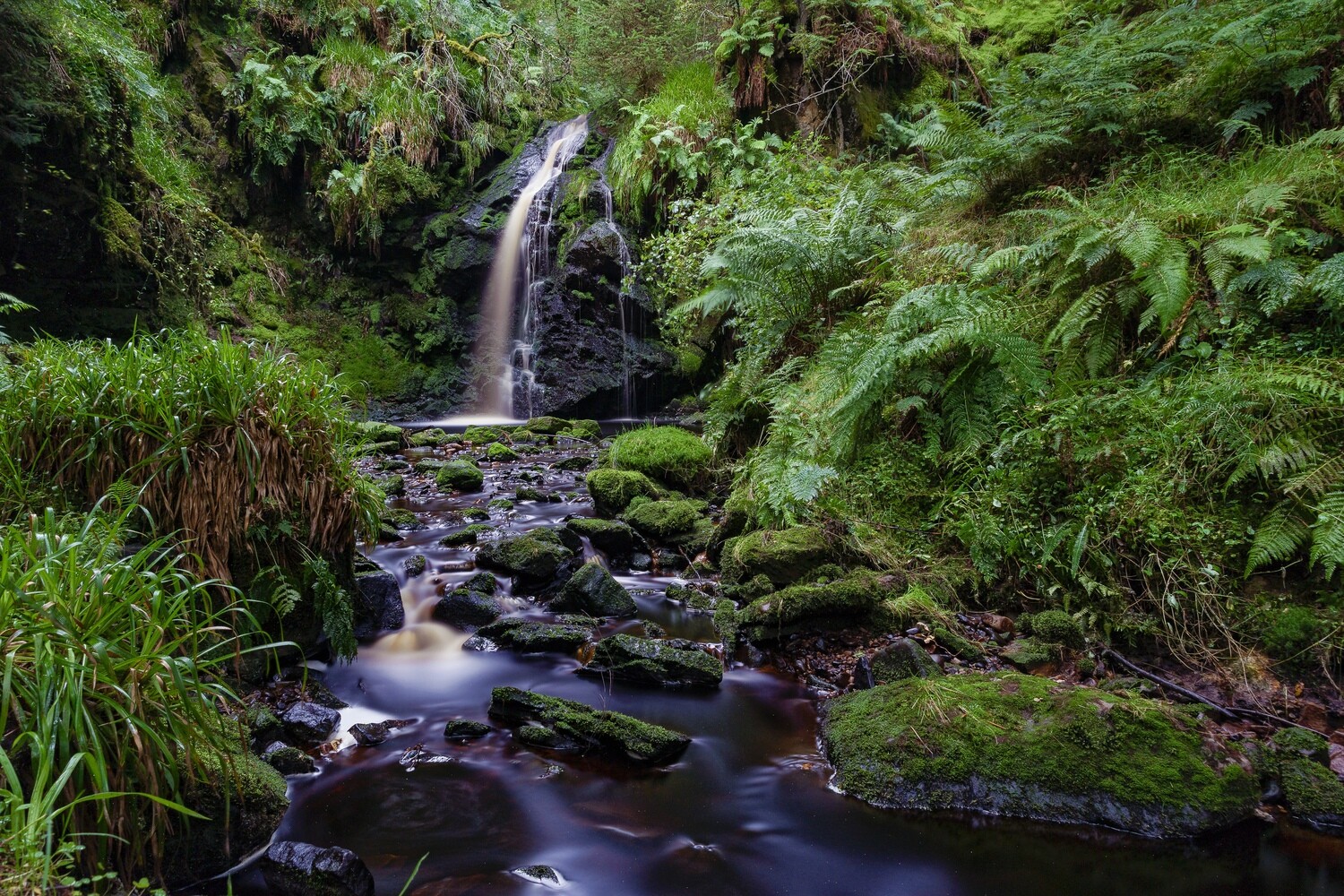 Hindhope Linn Framed Print or Canvas