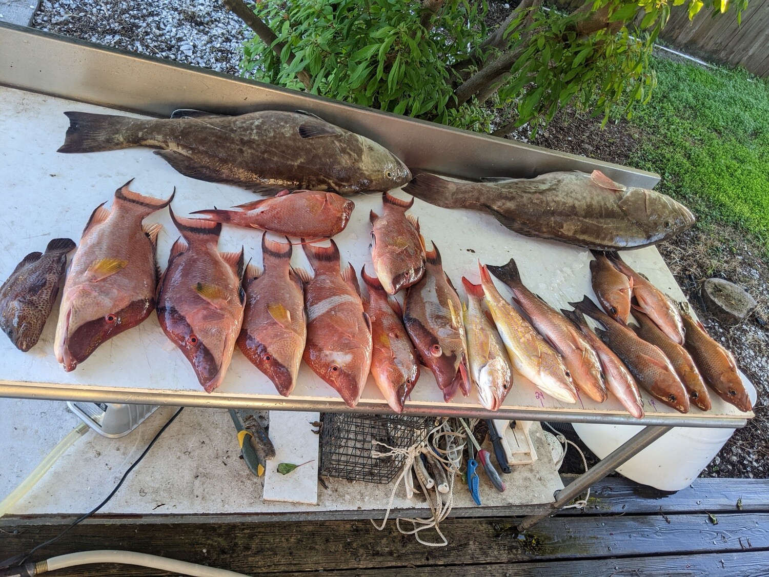 10 hour offshore