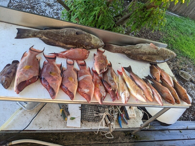 10 hour offshore