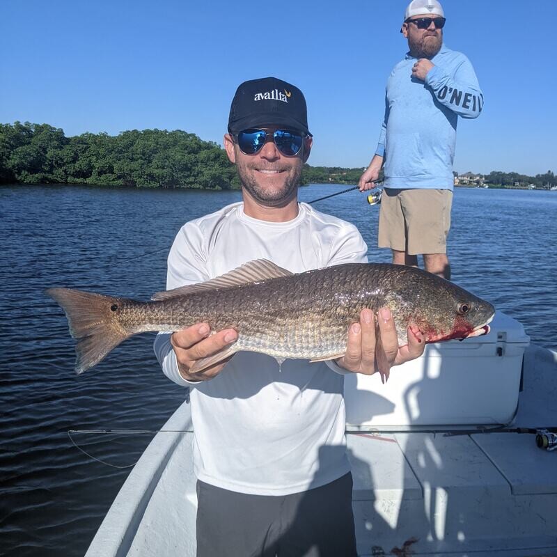 4 hours Inshore fishing