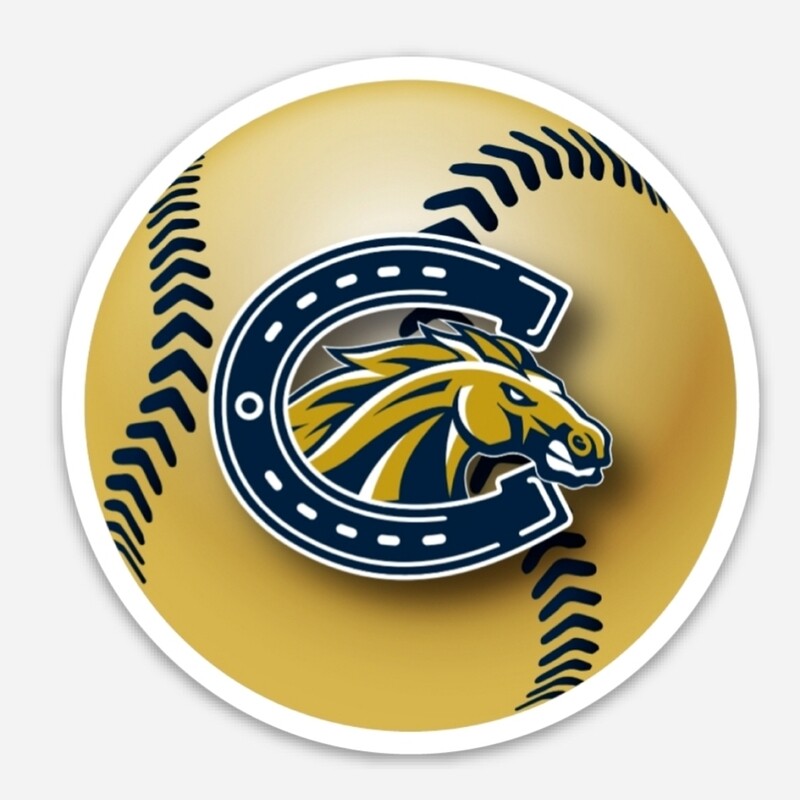 3X3 Casteel Softball Decal