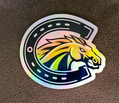 Casteel Decal Holographic 3X2