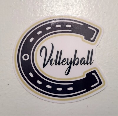 3x3 Casteel Volleyball Decal