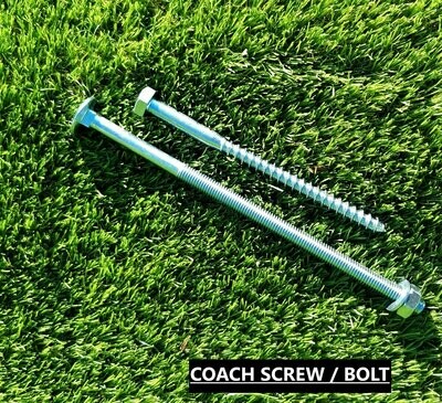 Coach Screw / Bolt
