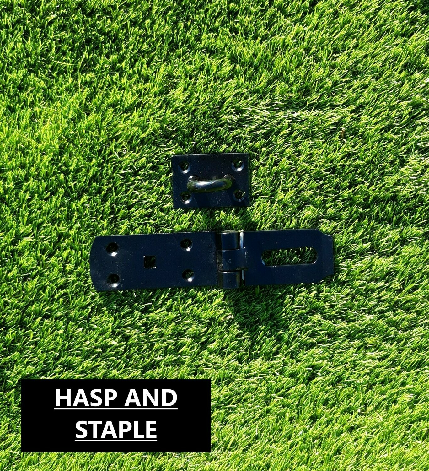Hasp & Staple