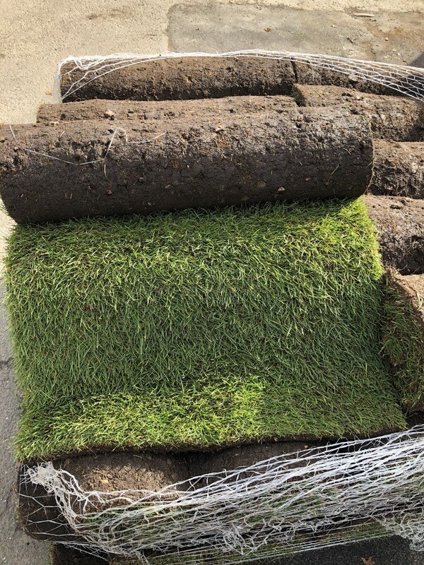 Premium Quality Turf. (non Returnable)