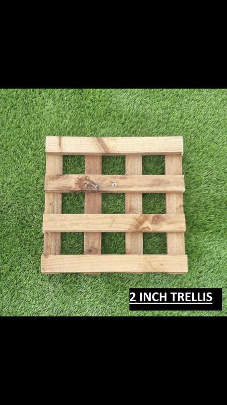 6' X 3' 2 Inch Trellis