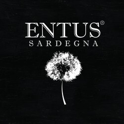 EntuS Shop