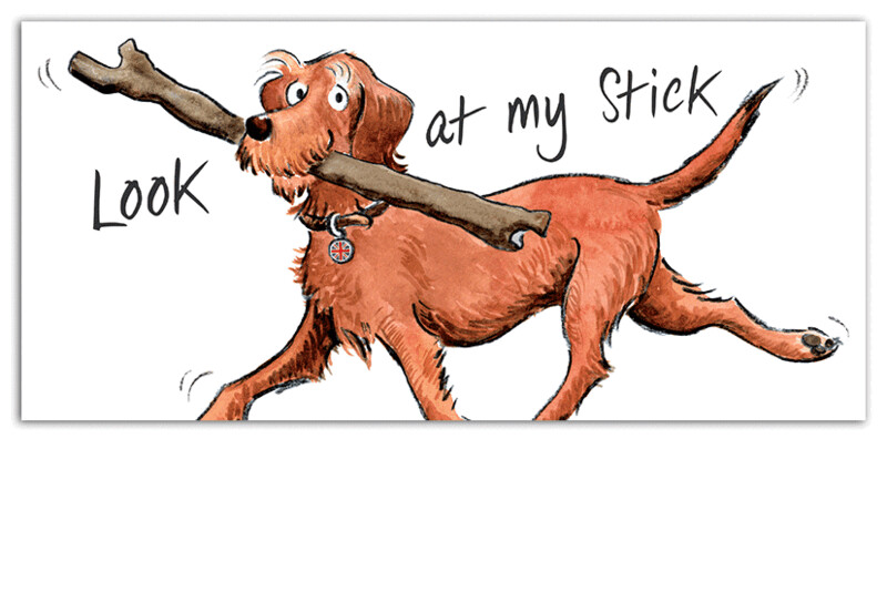 Look at my Stick