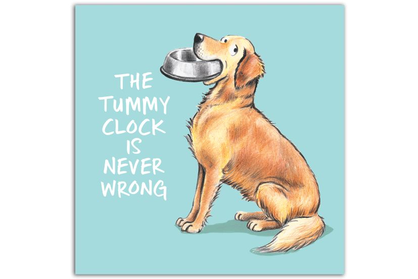 The Tummy Clock...