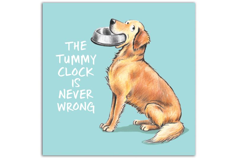 The Tummy Clock...