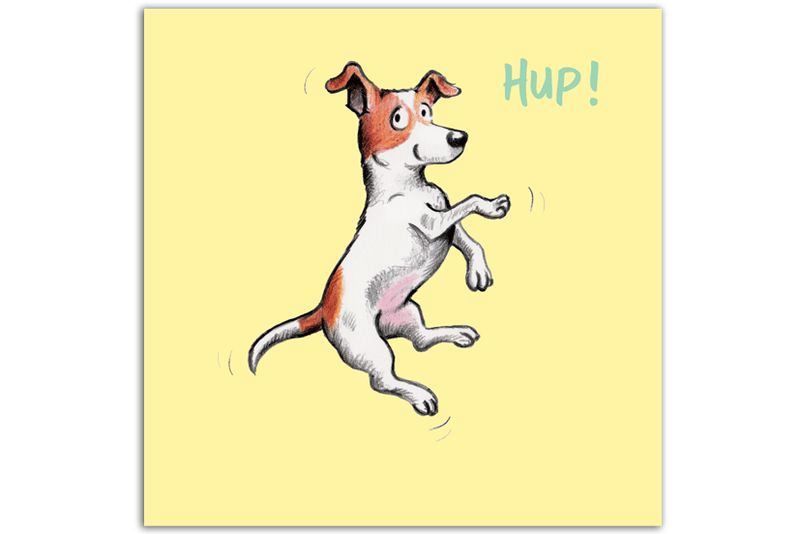 Hup!