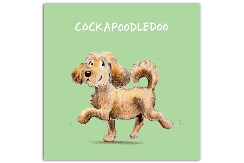 Cockapoodledoo