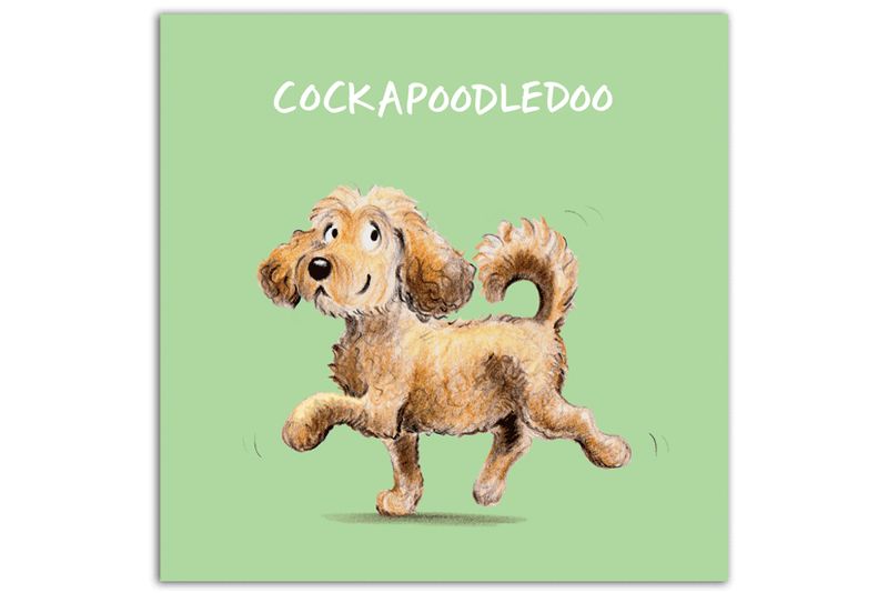Cockapoodledoo