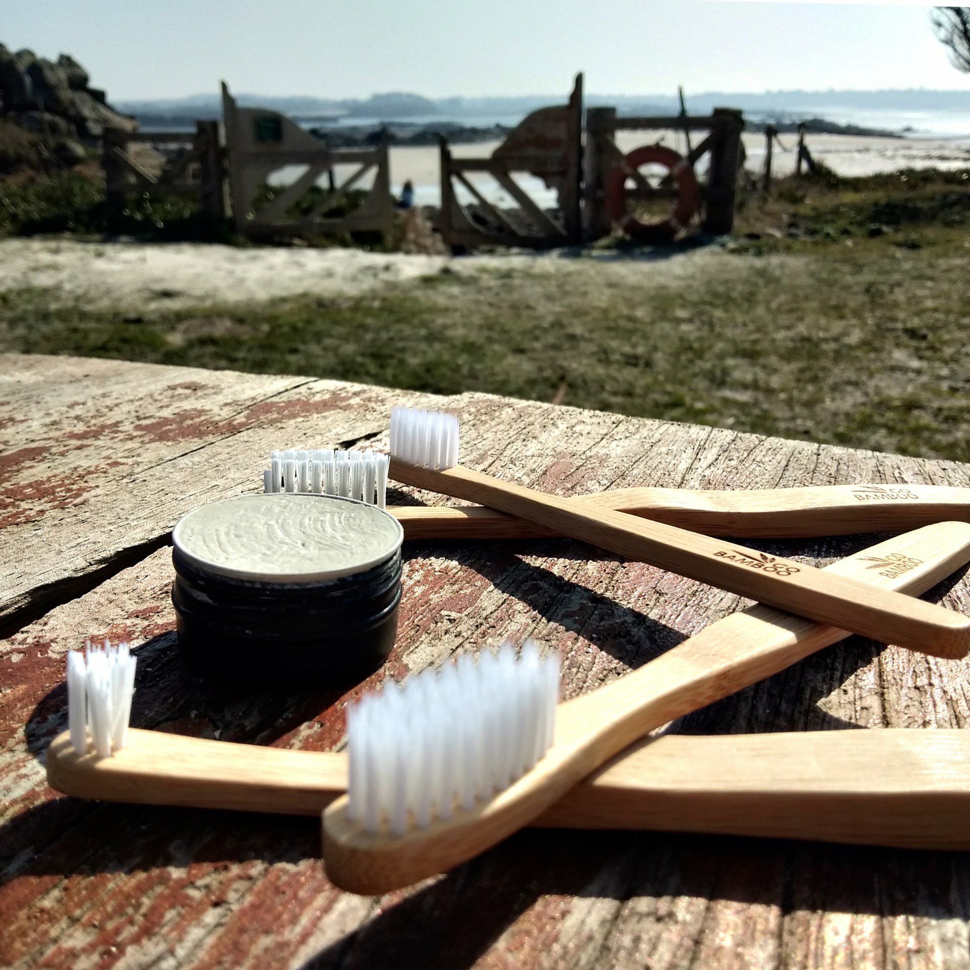 Dentifrice solide - MENTHE POIVRÉE