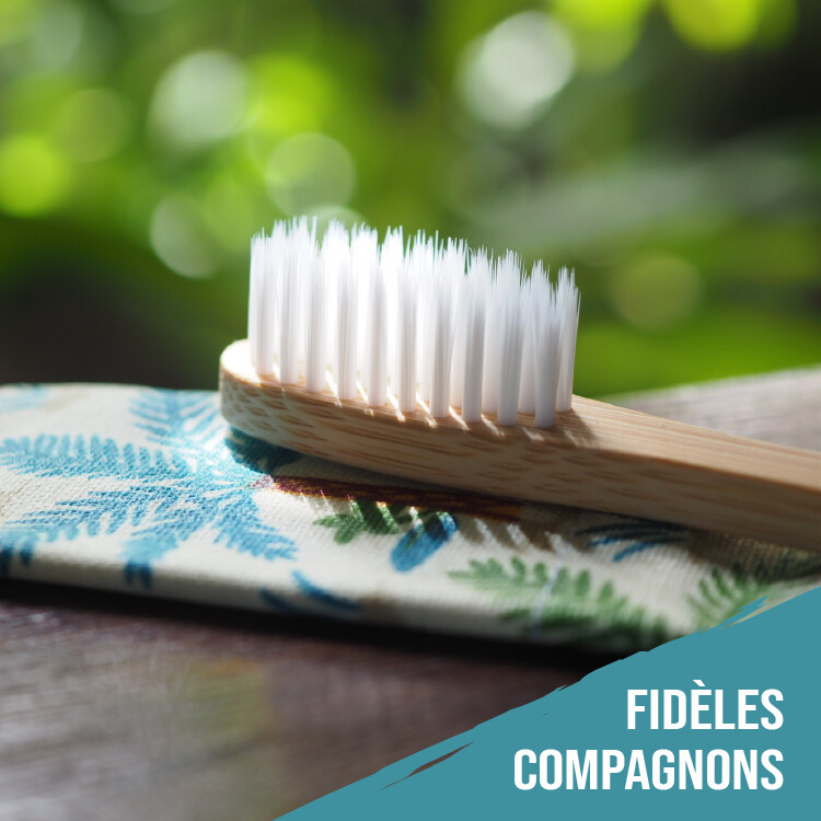 Étui à brosse à dents ADULTE