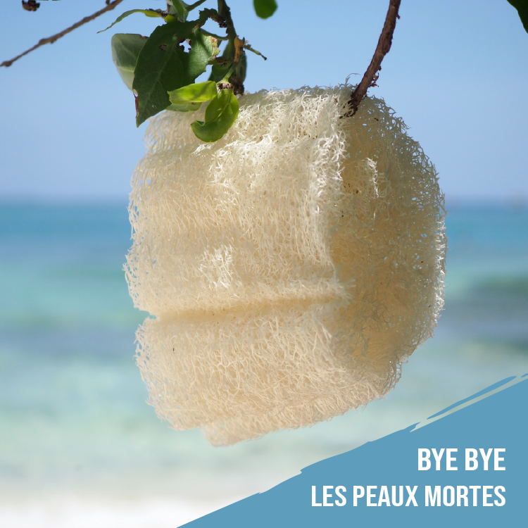 Éponge exfoliante en LOOFAH