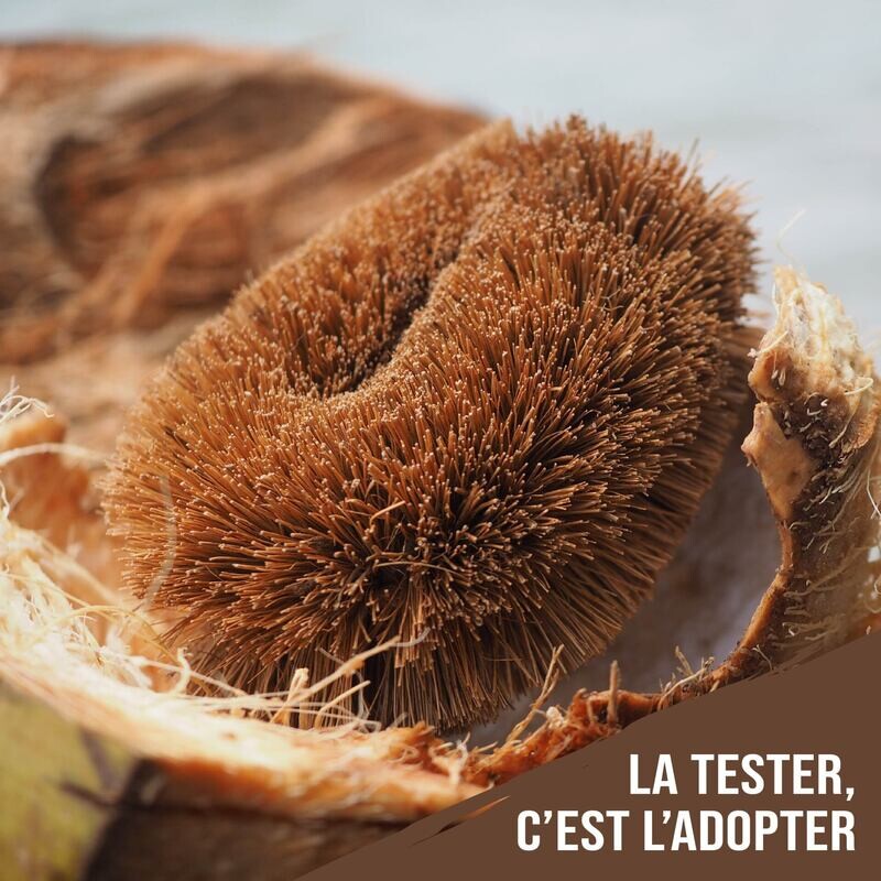 Brosse à vaisselle en fibres de COCO ?