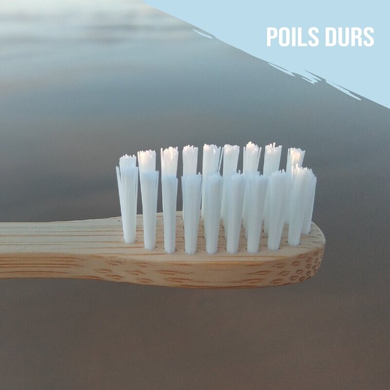 Brosse à dents en Bambou - ORTHO