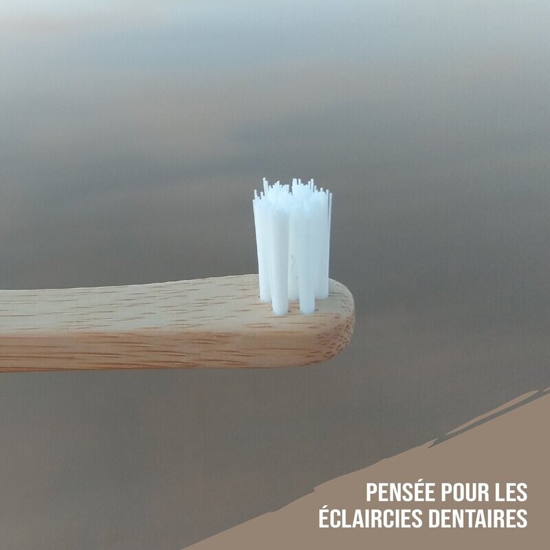 Brosse à dents en Bambou - INTERDENTAIRE