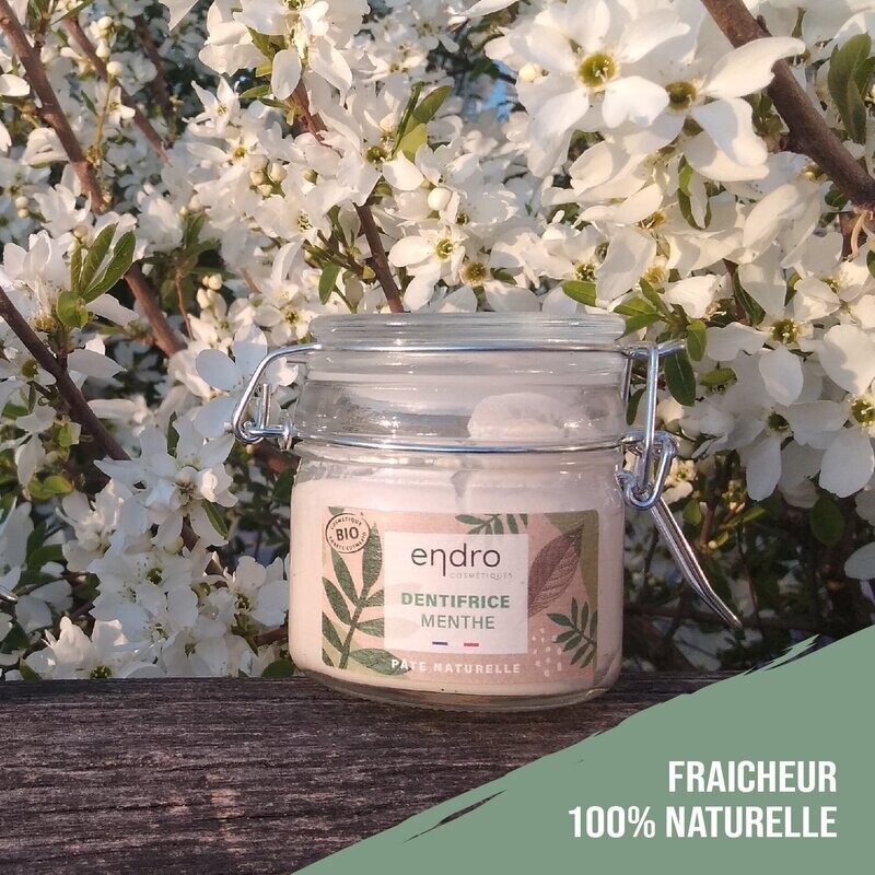 Dentifrice à pâte ENDRO - MENTHE