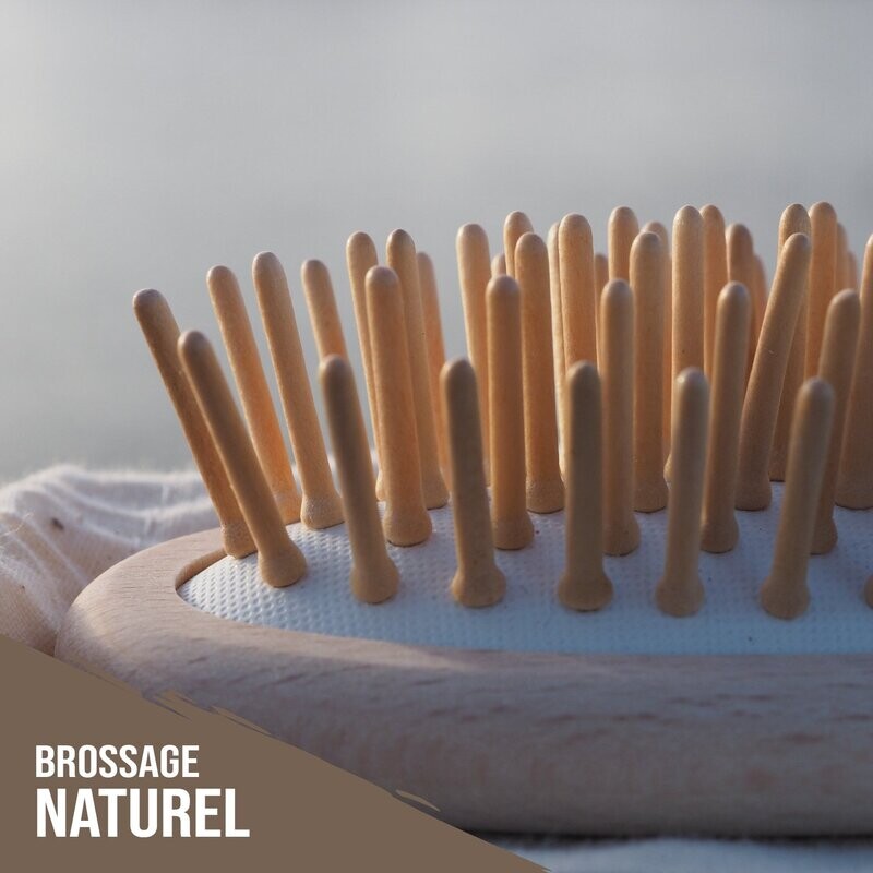 Brosse à cheveux en Hêtre