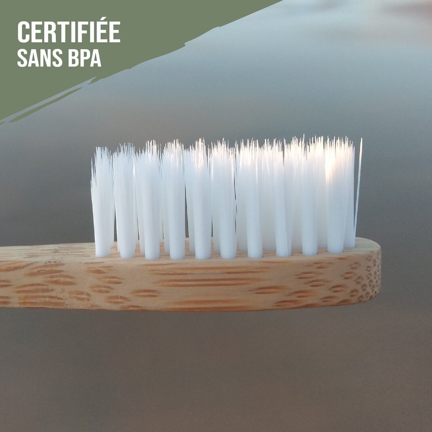 Brosse à dents en Bambou - ADULTE