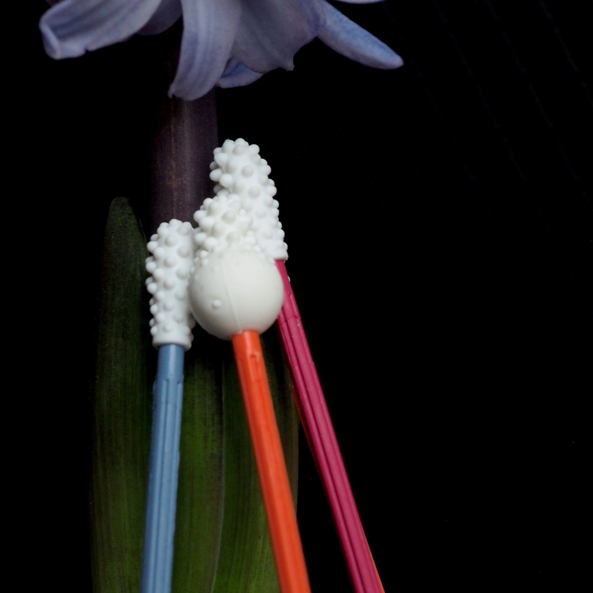 Coton-tige réutilisable LastSwab
