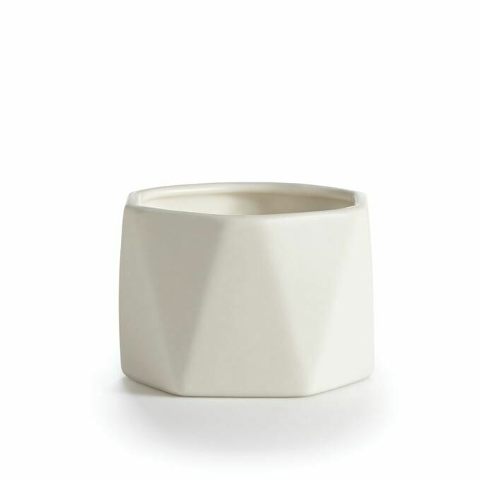 Illume Gardenia Ceramic