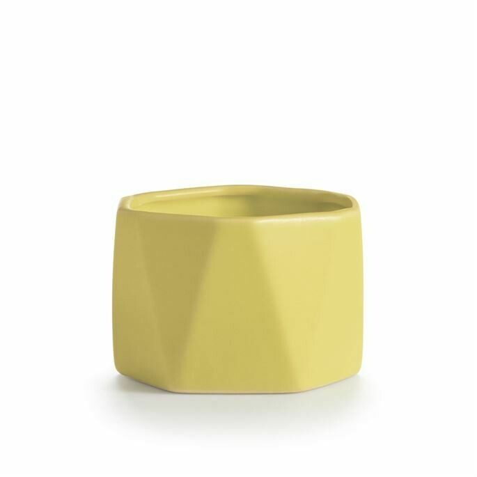 Illume Pineapple/ Cilantro Ceramic