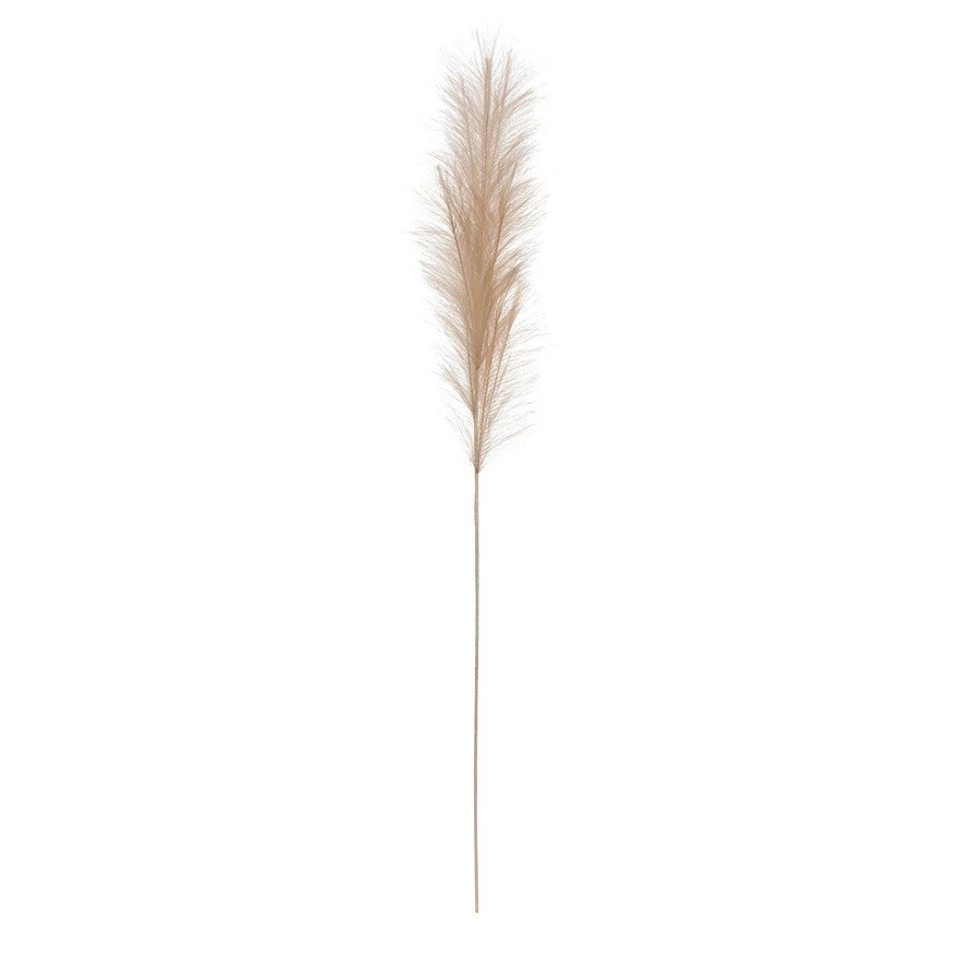 Creative Co-op Pampus Grass Cream Color