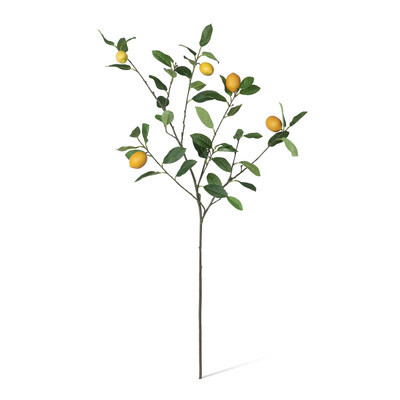 Park Hill Lemon Branch