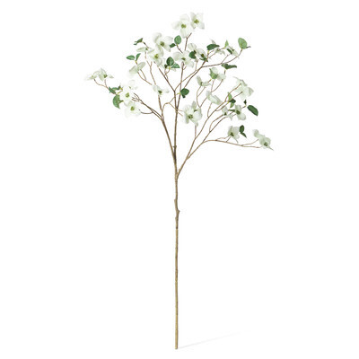 Park Hill Dogwood Branch