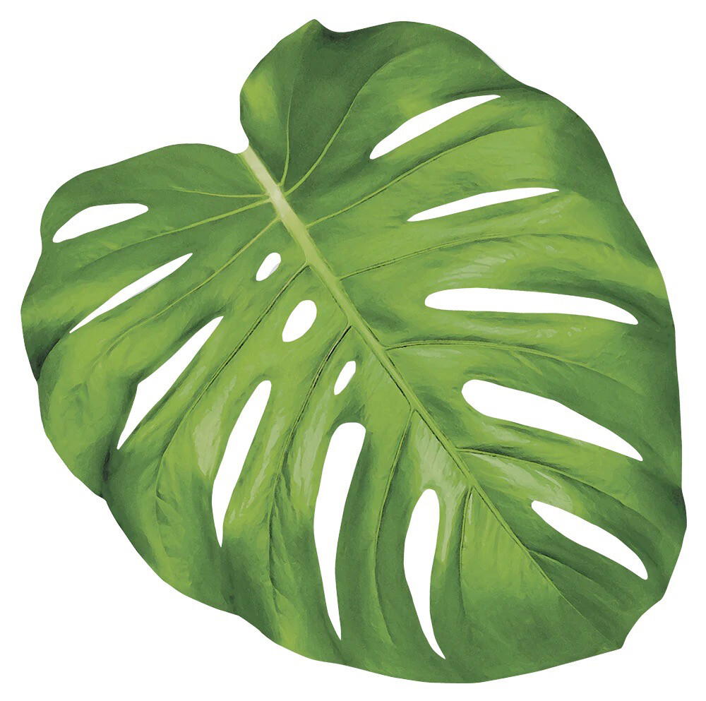 Hester &amp; Cook Monstera Leaf