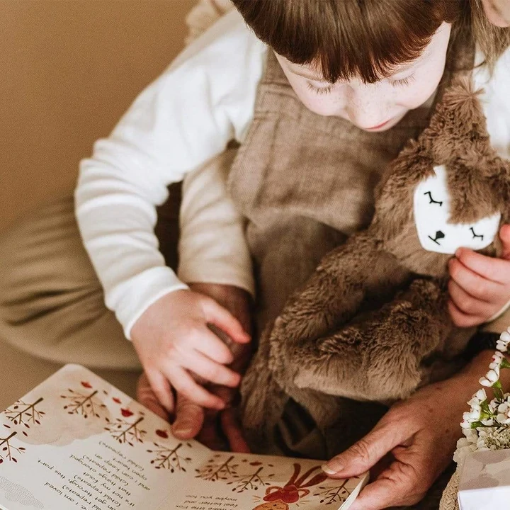 Slumberkins Fox Kin and Lesson Book- Big Family Changes