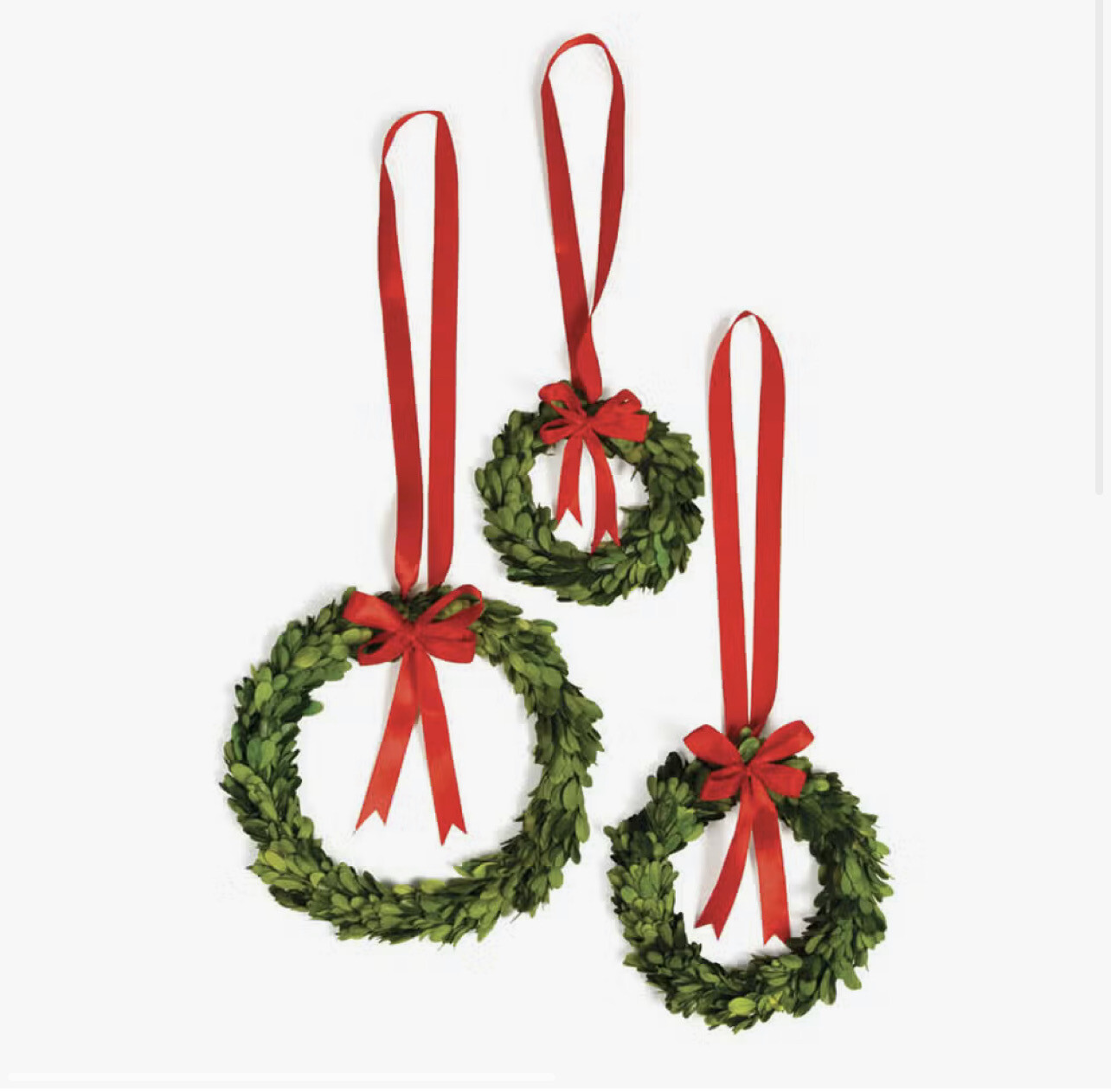 NAPA Boxwood Wrth W Red Ribbon Med