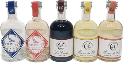 DECOUVERTE DE NOS GINS &amp; COCKTAILS- MIGNONNETTES - 5 CL