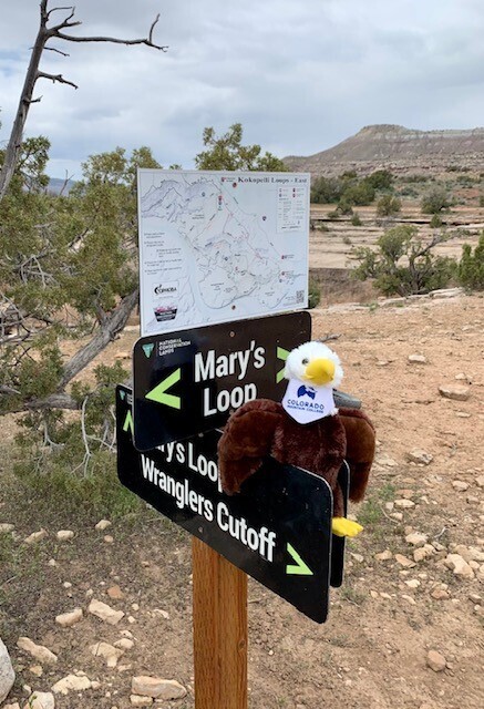 &quot;Swoop the Eagle&quot; Stuffed Animal