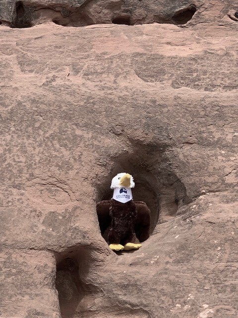 Eagle Stuffed Animal