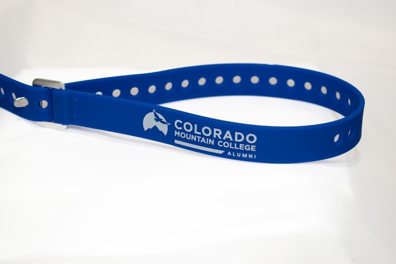 Alumni Alpine Ski Straps