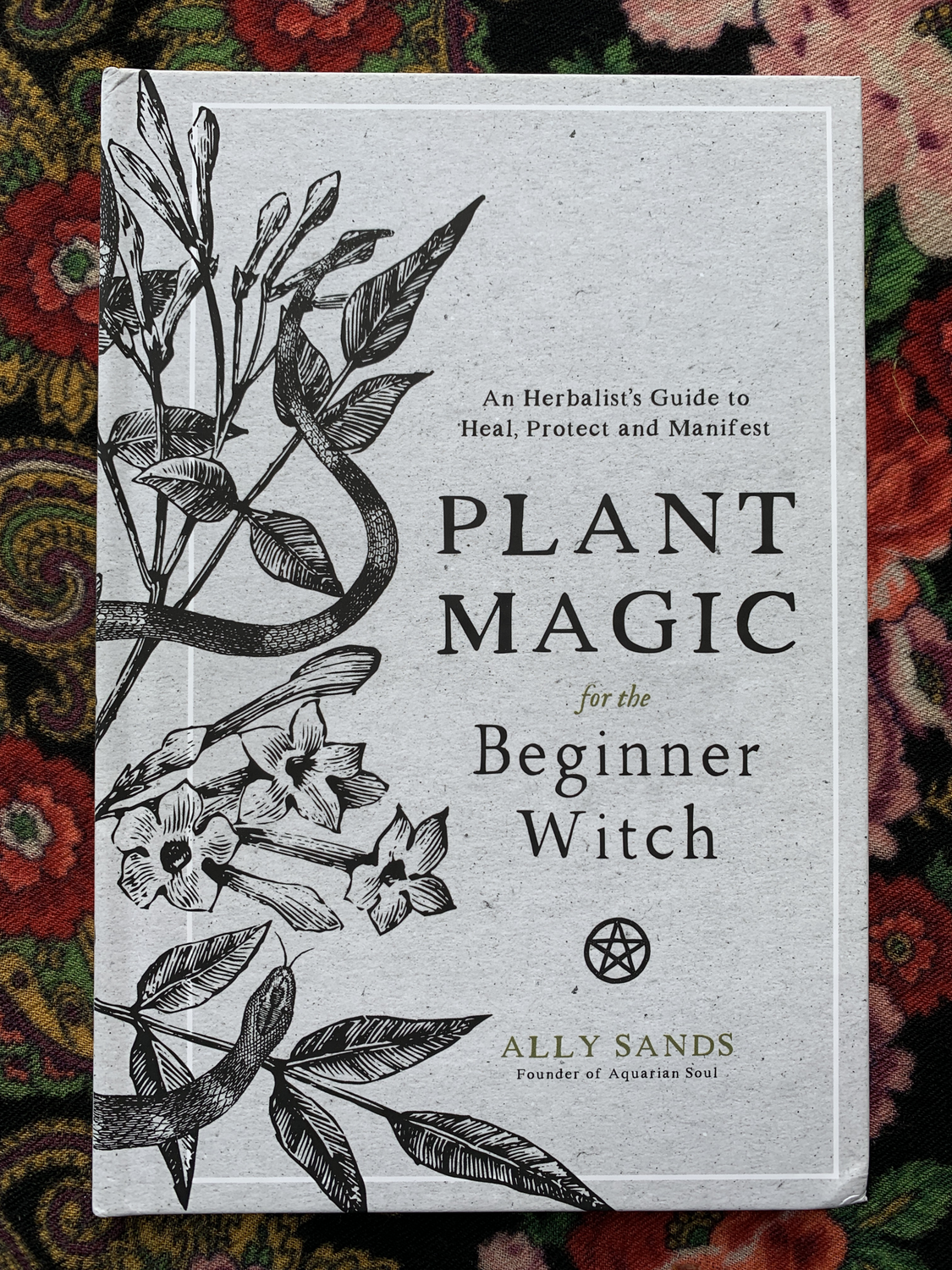 Plant Magic For The Beginner Witch