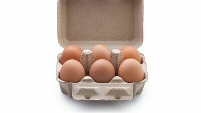 Desi Eggs 6 Pack
