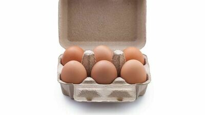 Desi Eggs 6 Pack