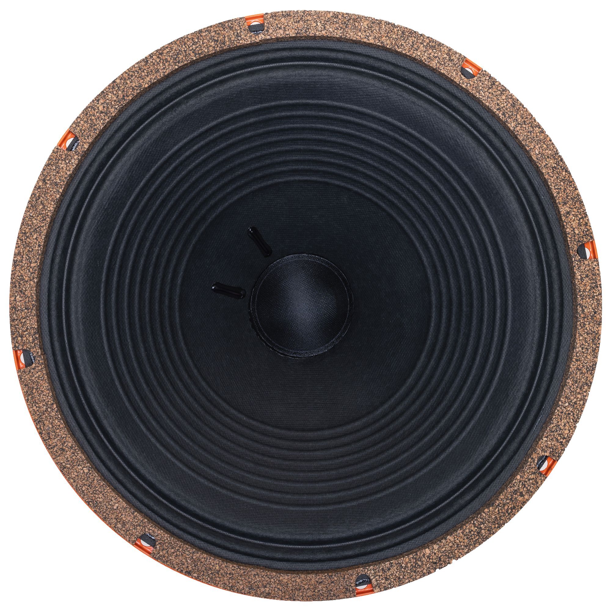 G30 -12 Inch Guitar Speaker