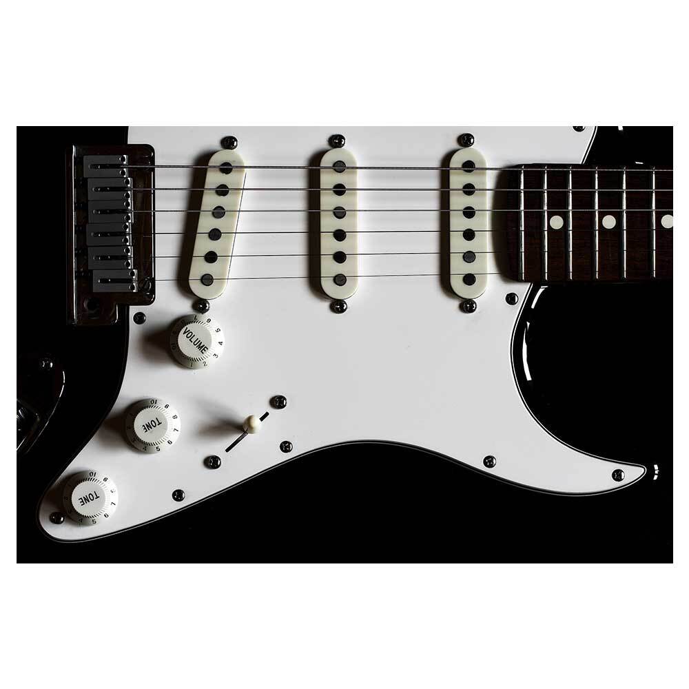 Peacock Stratbuckers (Duane Allman Signature Set)