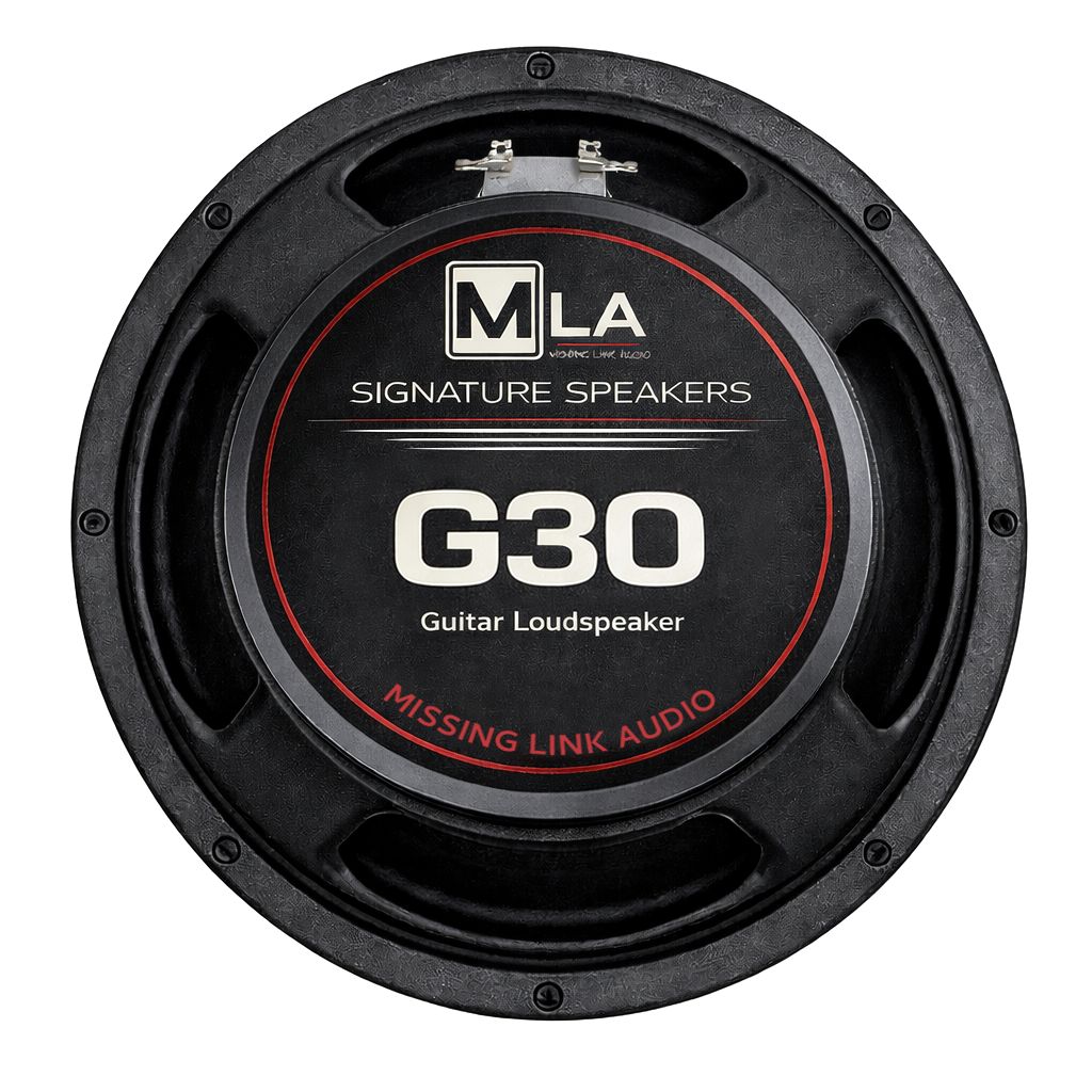G30 -12 Inch Guitar Speaker