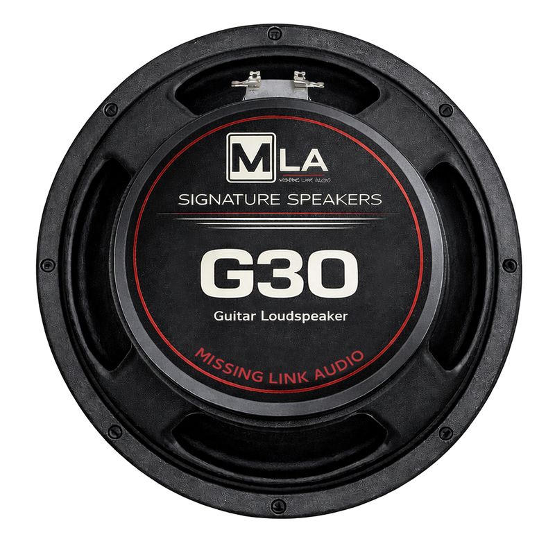G30 -12 Inch Guitar Speaker