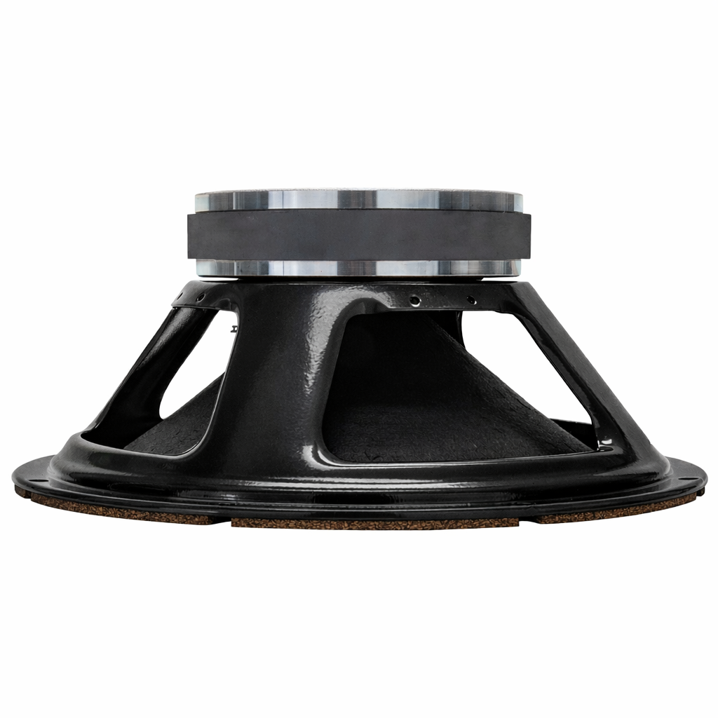 G30 - 10 Inch Guitar Speaker