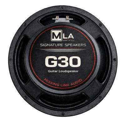 G30 - 10 Inch Guitar Speaker