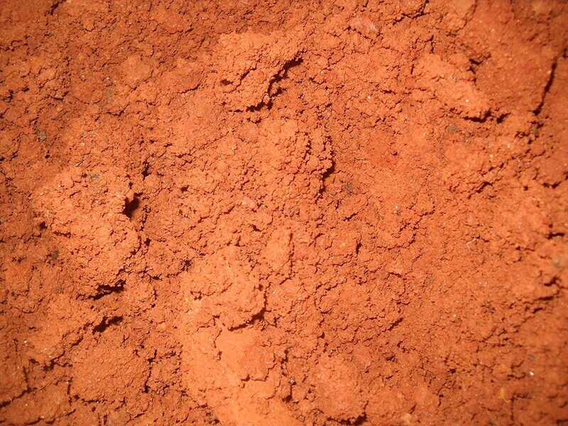 20 POUNDS RED DIRT SOIL GEORGIA